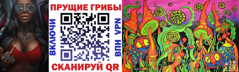 Галлюциногенные грибы GOLDEN TEACHER  Ильский 